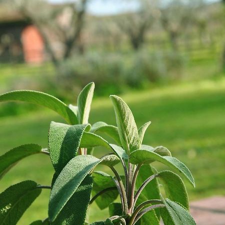Agriturismo La Mandragola Relais Crotone Luaran gambar