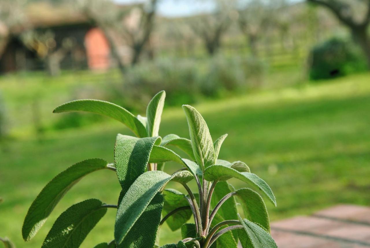 Agriturismo La Mandragola Relais Crotone Luaran gambar