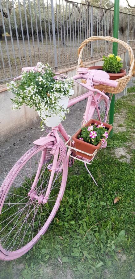 Agriturismo La Mandragola Relais Crotone Luaran gambar