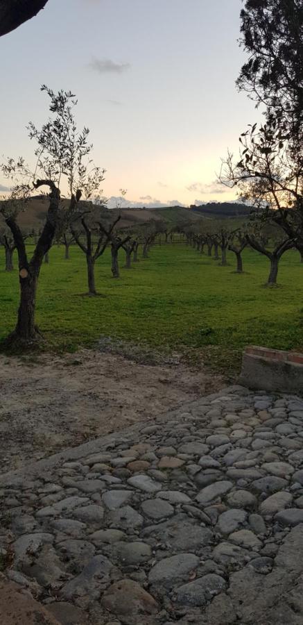 Agriturismo La Mandragola Relais Crotone Luaran gambar