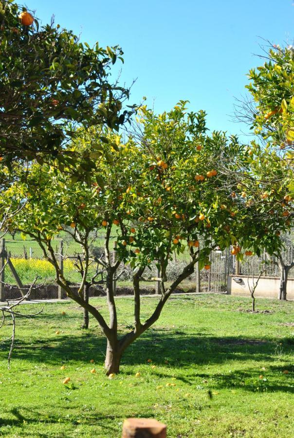 Agriturismo La Mandragola Relais Crotone Luaran gambar