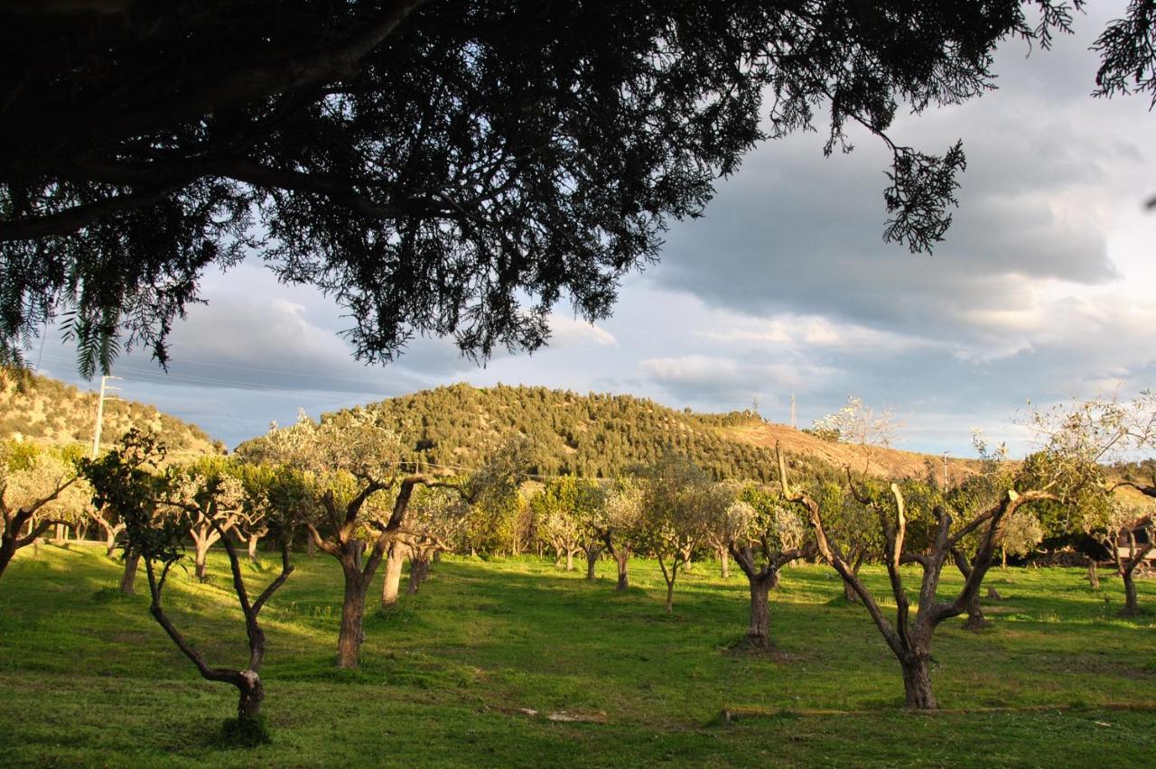 Agriturismo La Mandragola Relais Crotone Luaran gambar