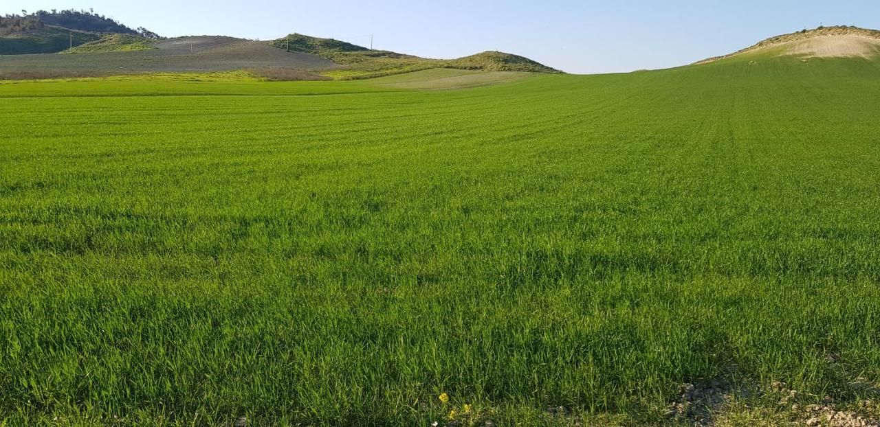 Agriturismo La Mandragola Relais Crotone Luaran gambar