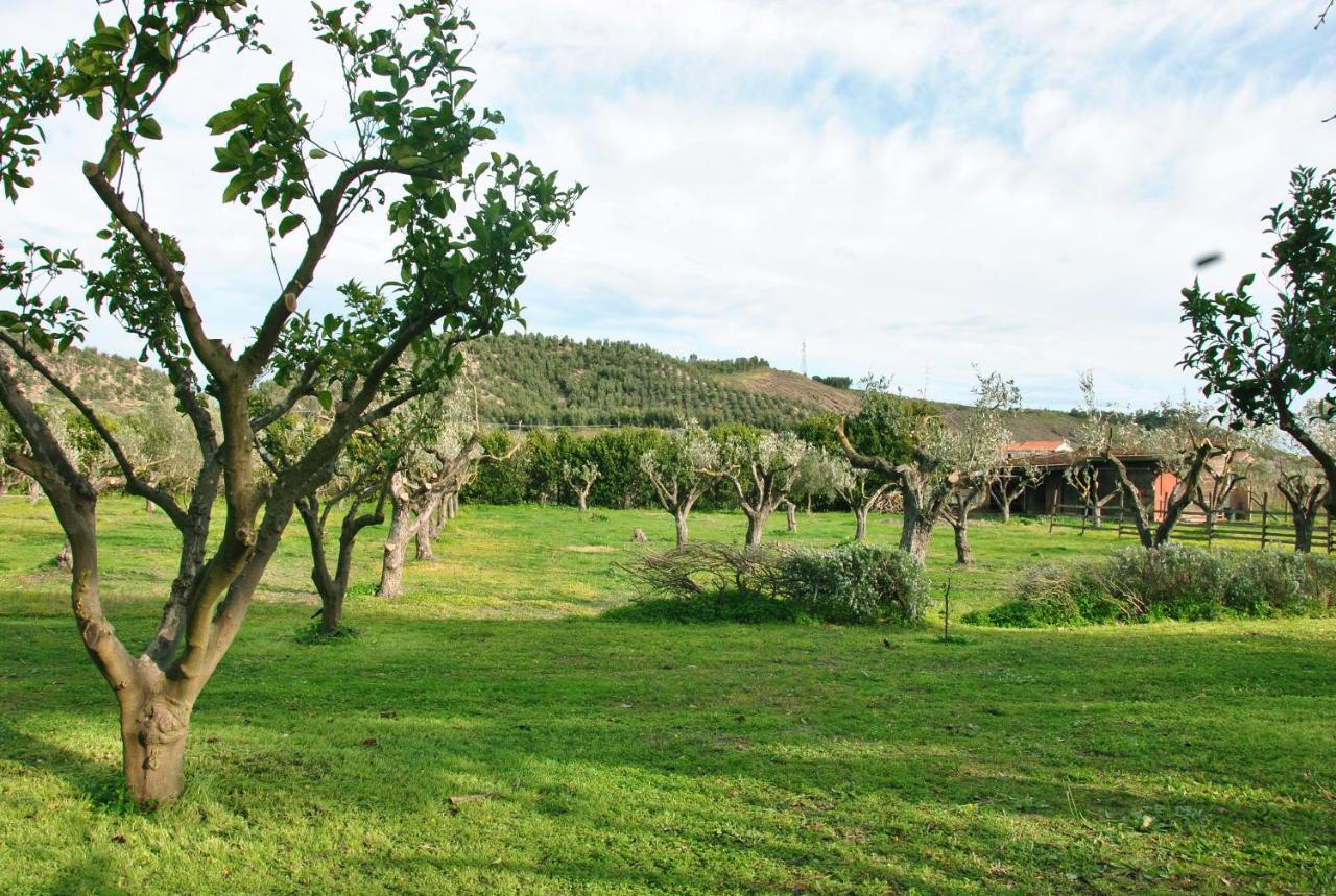 Agriturismo La Mandragola Relais Crotone Luaran gambar