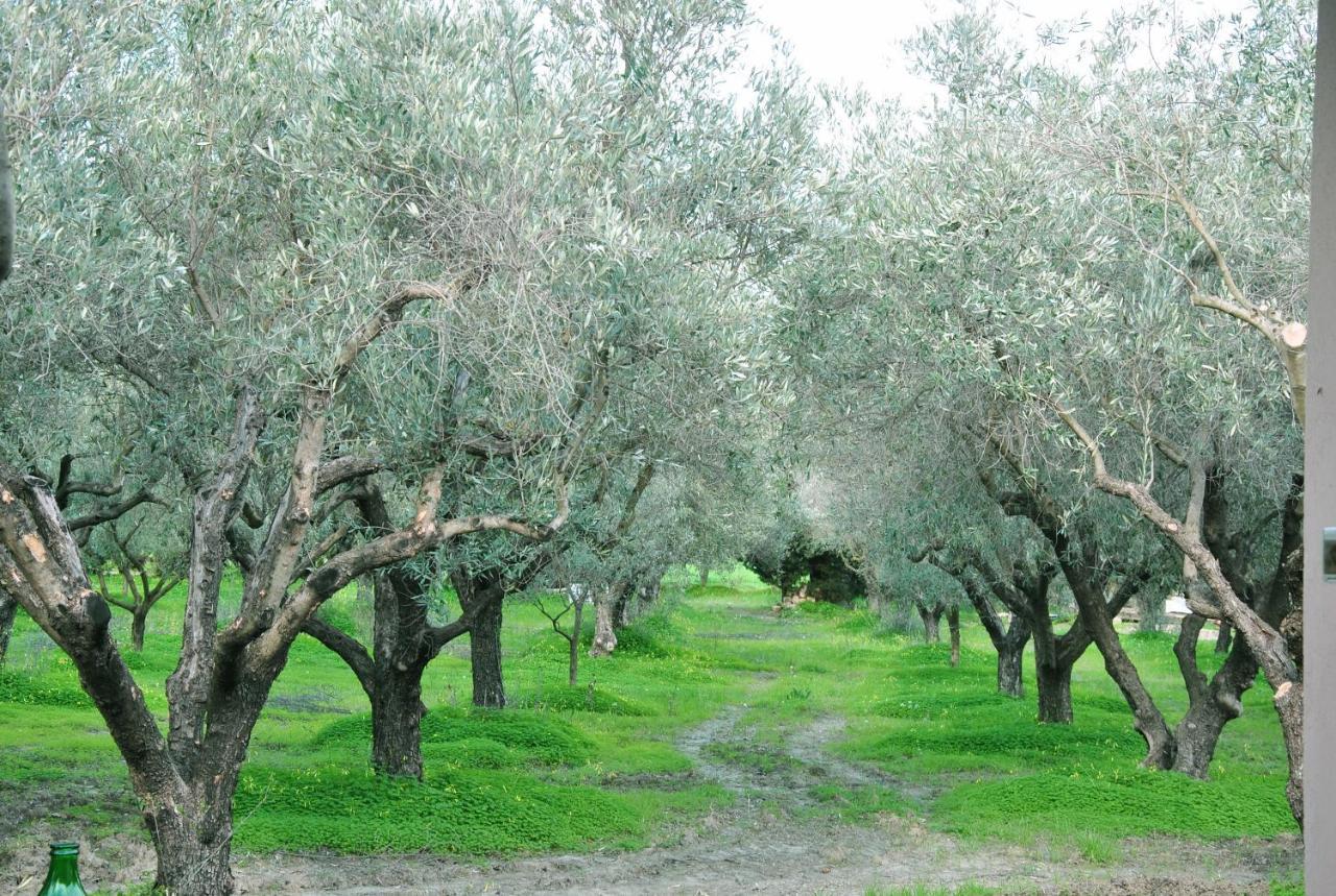 Agriturismo La Mandragola Relais Crotone Luaran gambar
